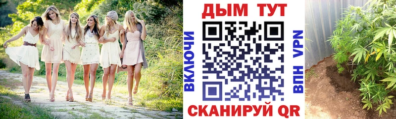 Канабис Bruce Banner продажа наркотиков Новохопёрск